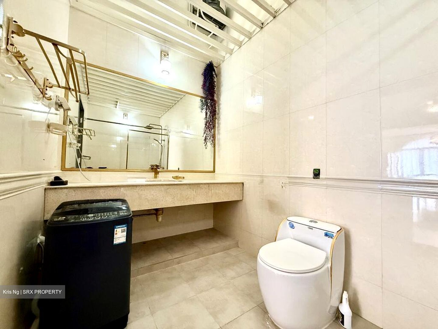 Macpherson Garden Estate (D13), Terrace #523550561